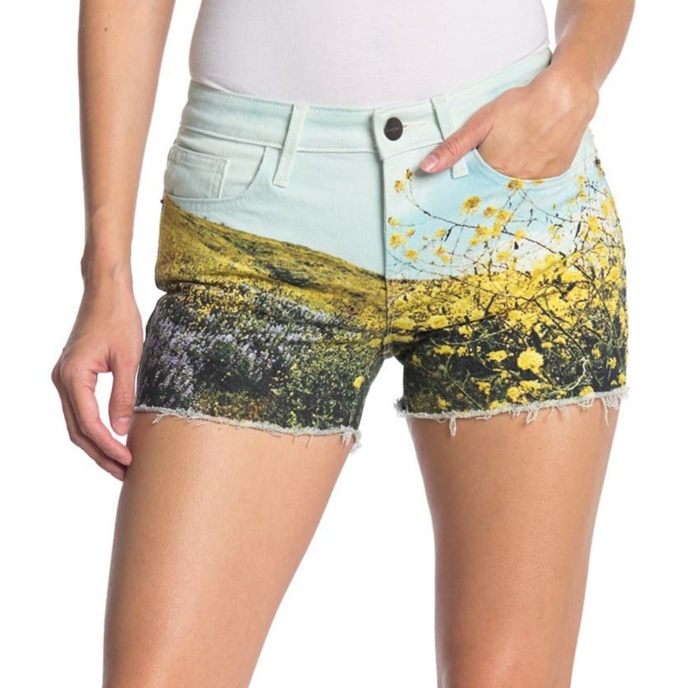 FRAME | Le Grand Garcon Printed Shorts